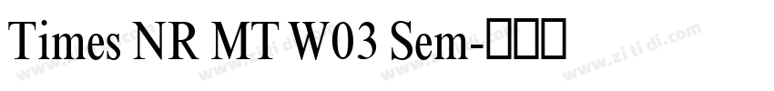 Times NR MT W03 Sem字体转换 Times NR MT W03 Sem字体转换